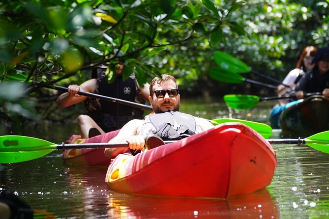 Iriomote Island 1-Day Snorkeling & Mangrove SUP or Canoe - What This Iriomote Day Tour Actually Feels Like