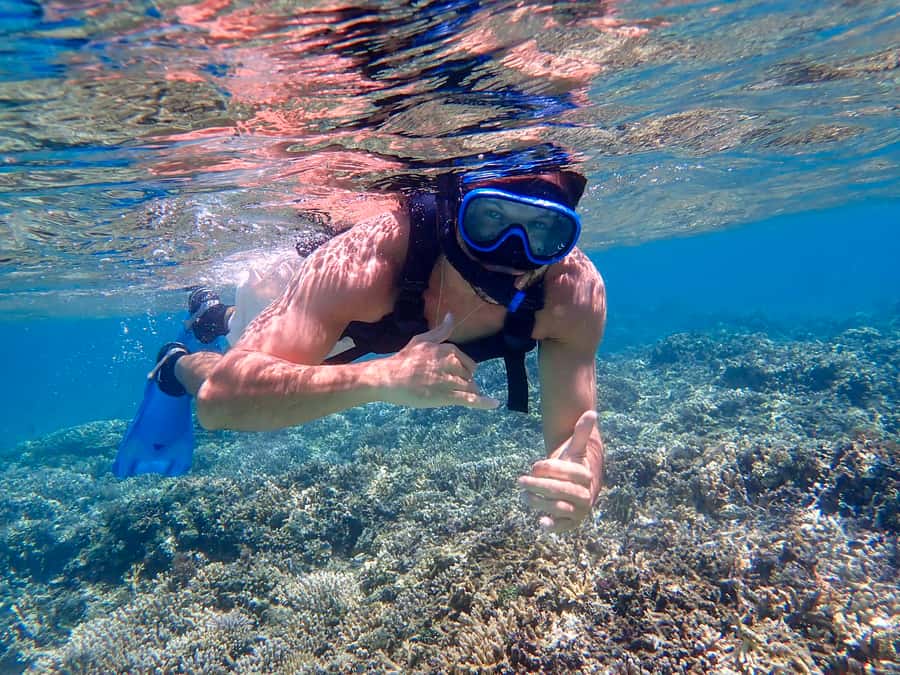 Iriomote Mangrove SUP and Snorkeling at Coral island - Why Iriomote makes this day special