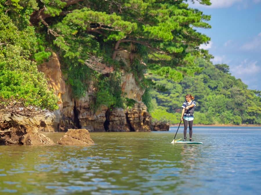 Iriomote Mangrove SUP and Snorkeling at Coral island - Snorkeling around the coral island