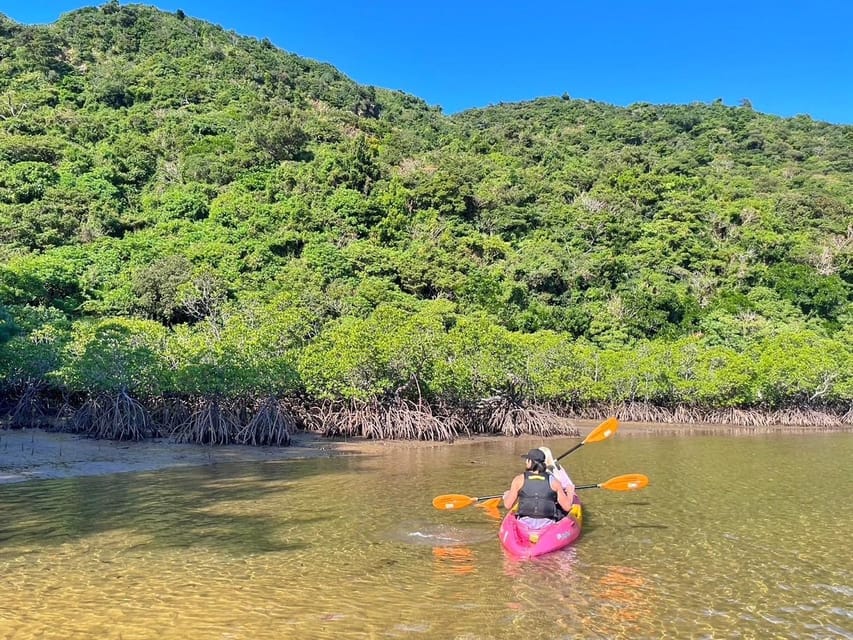 Iriomote Mangrove SUP and Snorkeling at Coral island - The one-hour break and what to bring