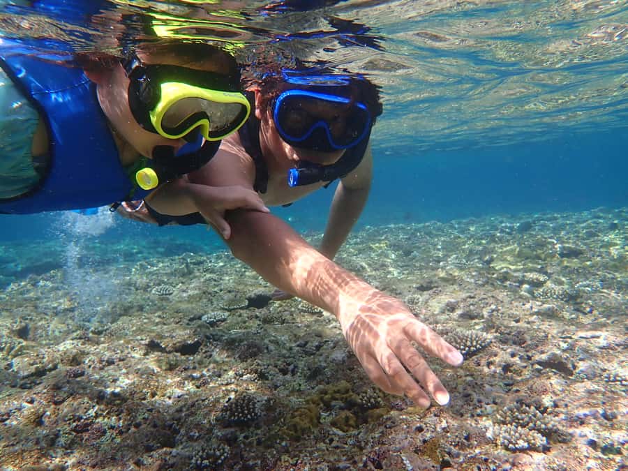 Ishigaki: Canoe or SUP at Kabira Bay＆Snorkeling at Blue Cave - What happens between the water sessions