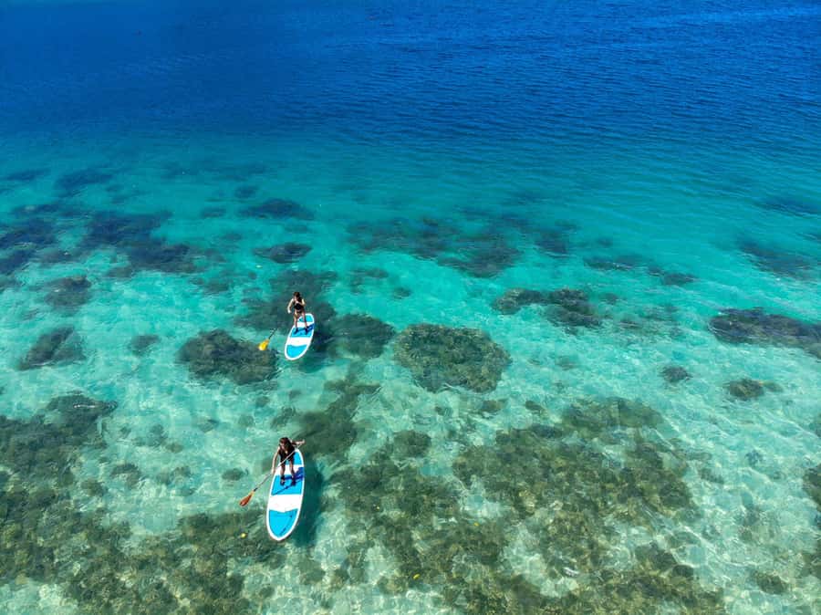 Ishigaki: Canoe or SUP at Kabira Bay＆Snorkeling at Blue Cave - Pickup, timing, and what to bring