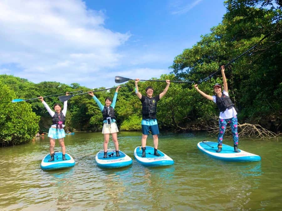 Ishigaki Island: SUP or Canoeing and Snorkeling at Blue Cave - Snorkeling at Blue Cave