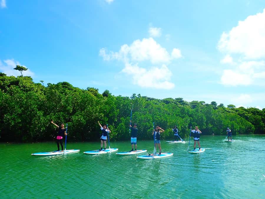 Ishigaki Island: SUP or Canoeing and Snorkeling at Blue Cave - What the $93 price includes