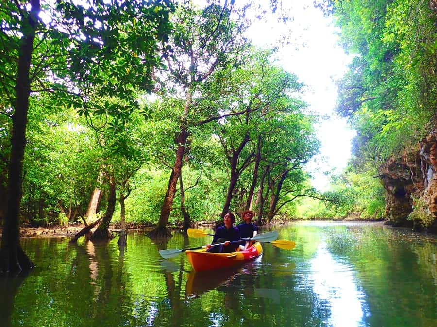 Ishigaki Island: SUP or Canoeing and Snorkeling at Blue Cave - Who should book this Ishigaki combination tour?