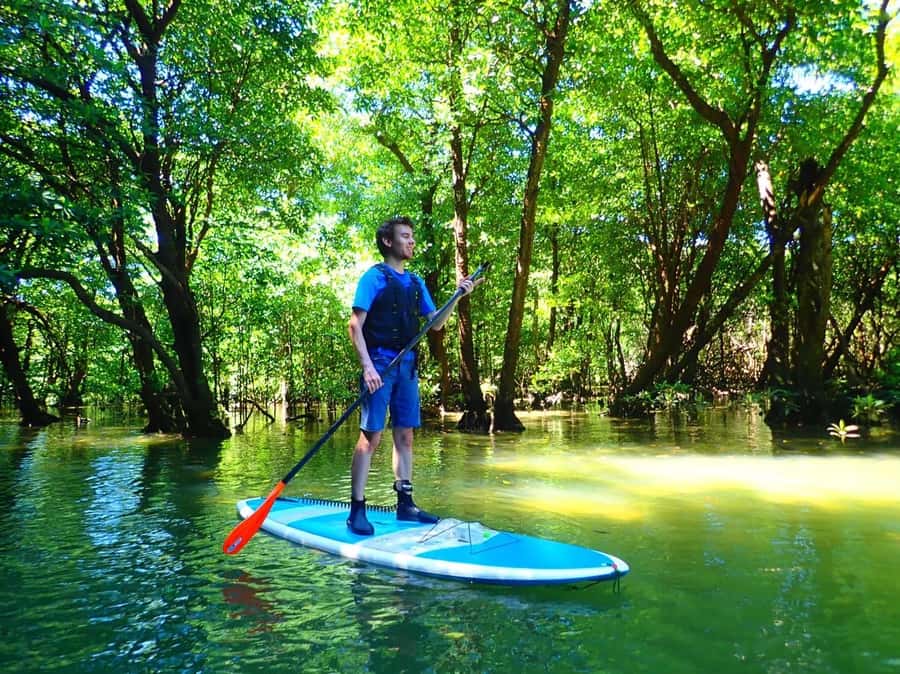 Ishigaki Island: SUP or Canoeing and Snorkeling at Blue Cave - The long pause at Ishigaki Port