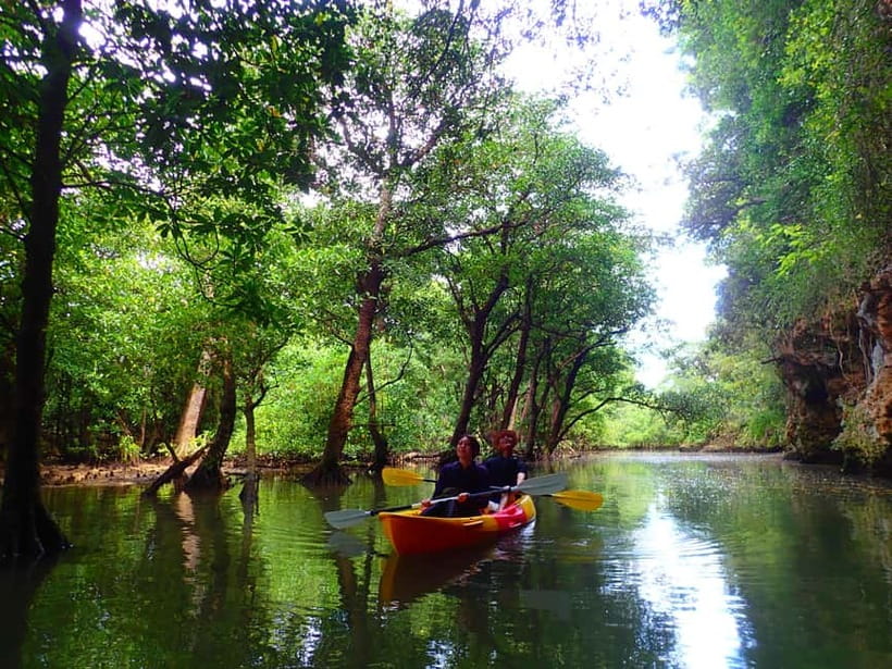 Ishigaki: Mangrove SUP or Canoe & Phantom Island Snorkeling - Two very different sides of Ishigaki