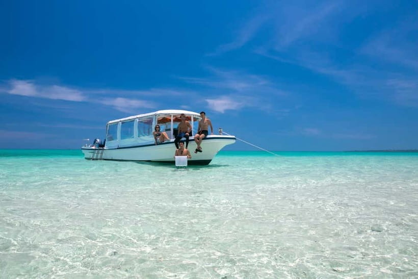 Ishigaki: Mangrove SUP or Canoe & Phantom Island Snorkeling - Paddling through Miyara River’s hirugi forest