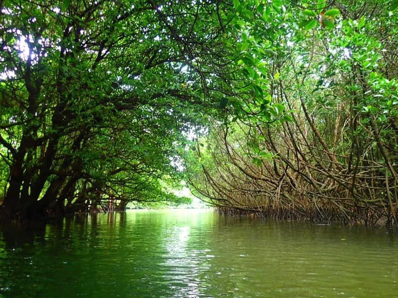 Ishigaki: Mangrove SUP or Canoe & Phantom Island Snorkeling - Phantom Island and the open-water stop