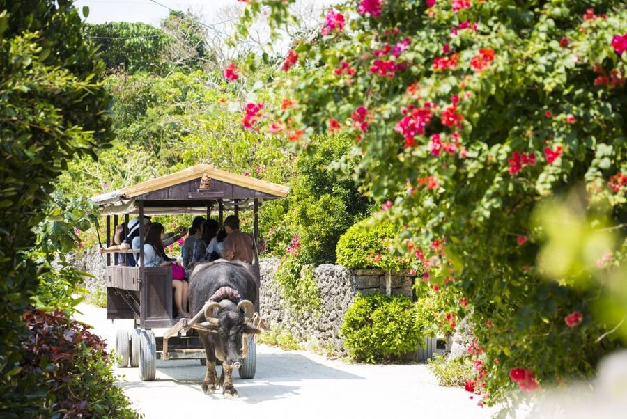 Ishigaki: Phantom Island Snorkeling and Taketomi Sightseeing - Should you book it?