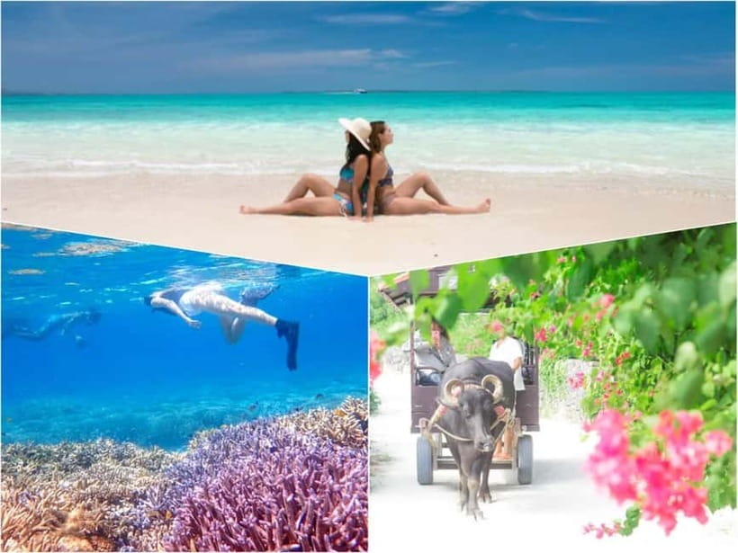 Ishigaki: Phantom Island Snorkeling and Taketomi Sightseeing - Back at Ishigaki Port, the day changes pace