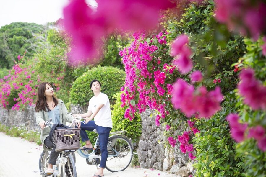 Ishigaki: Phantom Island Snorkeling and Taketomi Sightseeing - Who should book this Ishigaki day trip?