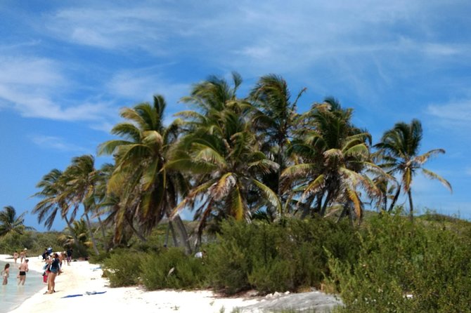 Isla Contoy and Isla Mujeres Tour with Snorkeling from Cancun - Exploring protected Isla Contoy