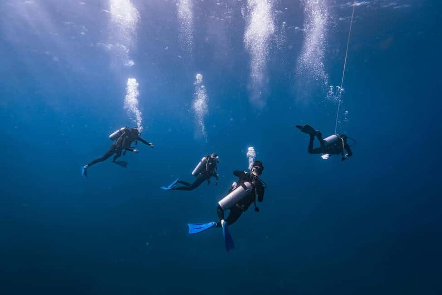 Isla Mujeres: Catamaran Ride with Open Bar, Snorkeling, and Lunch - The basic shape of the day from Cancun