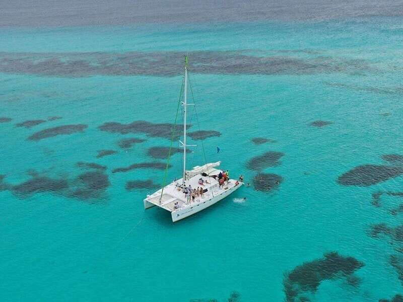 Isla Mujeres Catamaran Tour: Snorkel & Beach Adventure - Why the reef and statues are the main reason to go