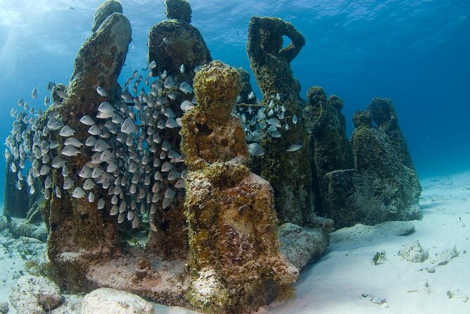 Isla Mujeres Catamaran Tour with Snorkeling at MUSA, Buffet Lunch & Open Bar - Who will enjoy this Cancun day trip