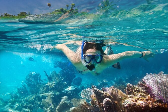 Isla Mujeres Catamaran Tour with Snorkeling, Open Bar & Buffet - Two hours to explore Isla Mujeres town