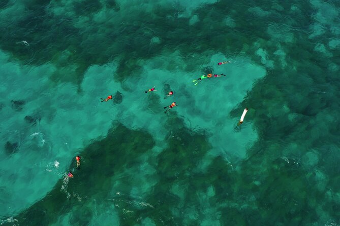 Isla Mujeres Island and Snorkeling Tour - Is $89 a fair price?
