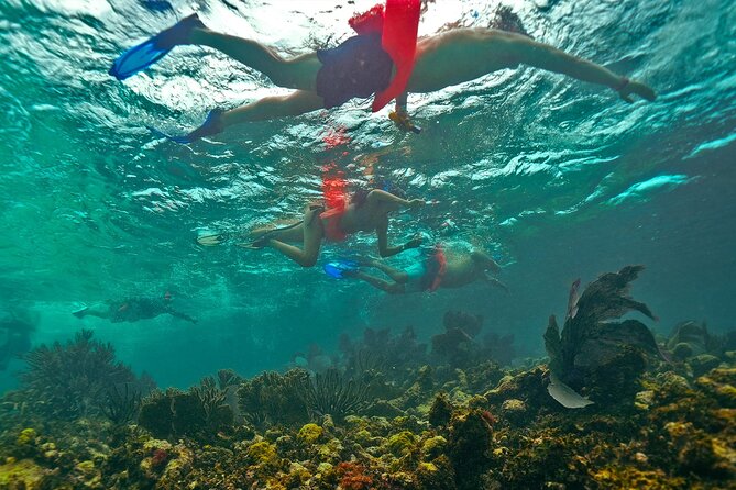 Isla Mujeres, Snorkel, Lunch & Pick Up from Cancun to P.Morelos - Pickup from Cancun to Punta Sam