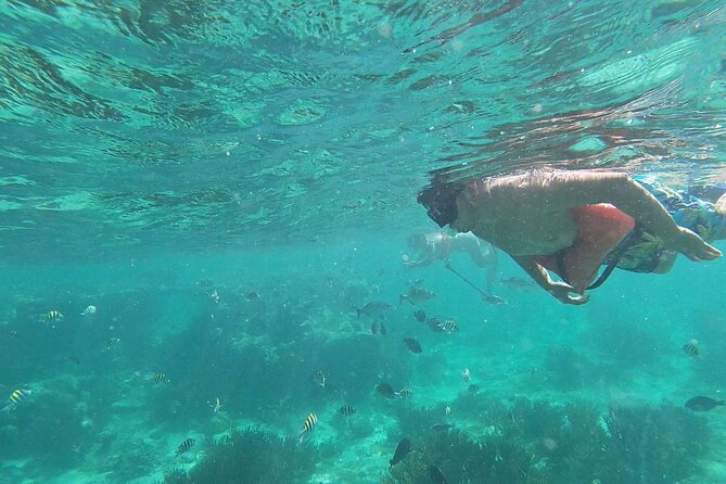 Isla Mujeres Snorkeling Adventure at the Underwater Museum - MUSA: statues, fish, and a sunken Volkswagen