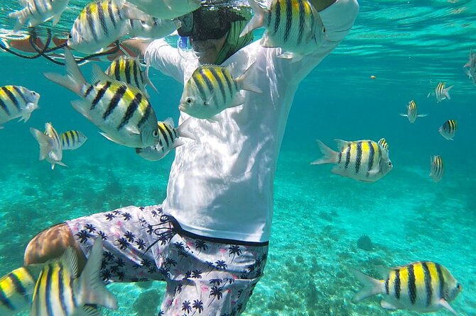 Isla Mujeres Snorkeling Adventure at the Underwater Museum - Fresh fish and ceviche at the end