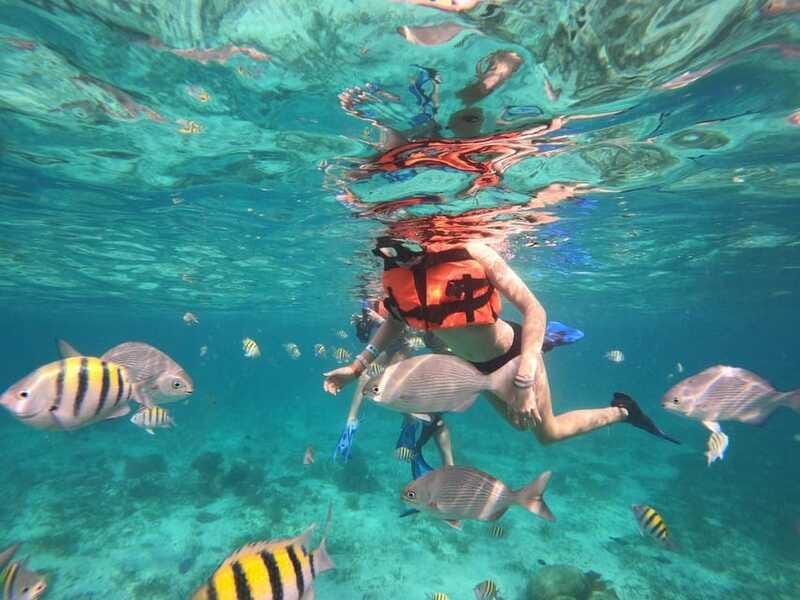 Isla Mujeres: Snorkeling Adventure at the Underwater Museum - Who should book this Isla Mujeres outing?