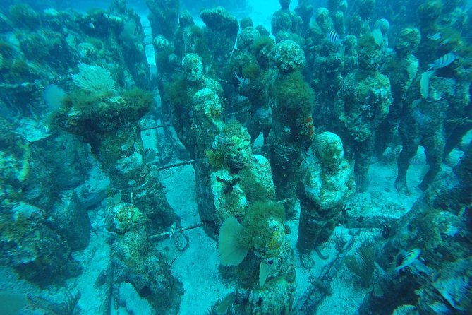 Isla Mujeres Snorkeling Tour Adventure - The real value at $58.74