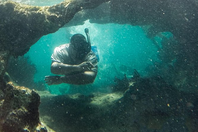 Isla Mujeres Snorkeling Tour Adventure - Lighthouse Reef brings the best fish viewing