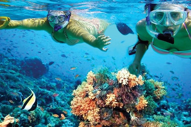 Isla Mujeres tour in a Catamaran with snorkel, open bar, lunch - The price is the biggest booking trap