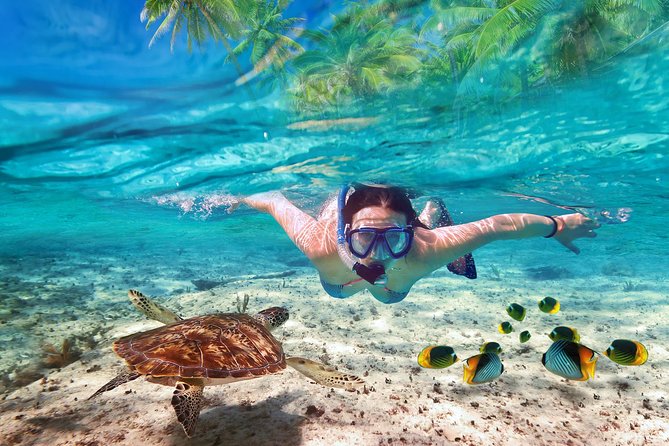 Isla Mujeres tour in a Catamaran with snorkel, open bar, lunch - Leaving from Marina Las Perlas