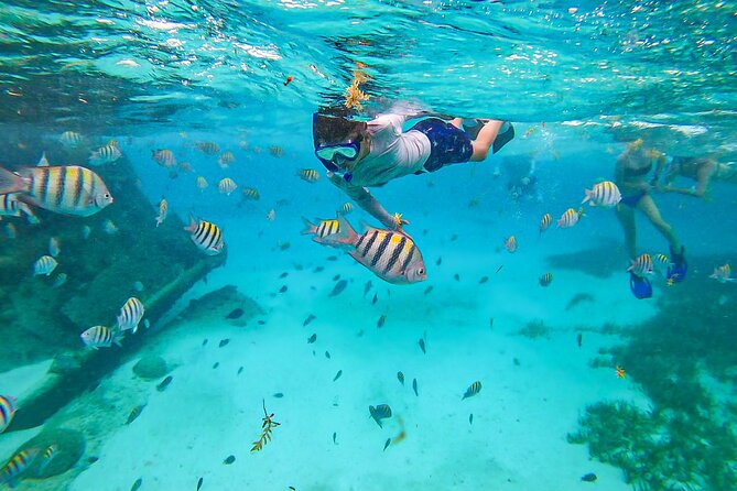 Isla Mujeres Tour, Snorkel and Golf Cart included - Snorkeling at the shipwreck