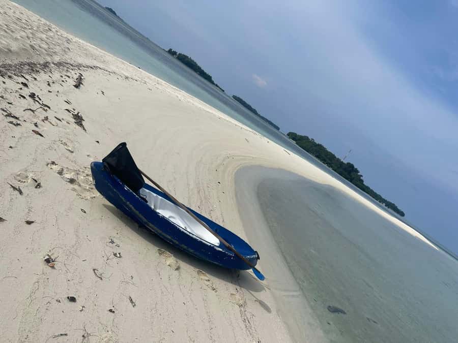 Jakarta: Thousand Island Tour with Canoeing and Snorkeling - What the snorkeling is really like