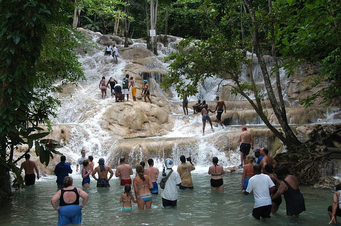 Jamaica Dunn's River Falls Party Cruise with Snorkeling - Who will enjoy this Jamaica excursion most