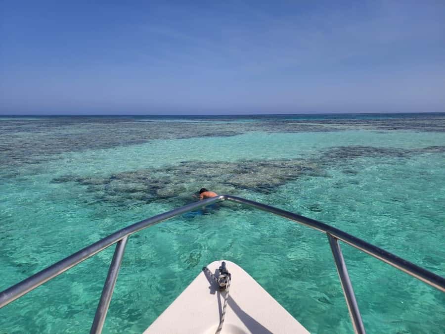 Jeddah: Bayada Leisure Boat Trip with Snorkeling - Coral, fish, and possible shark sightings