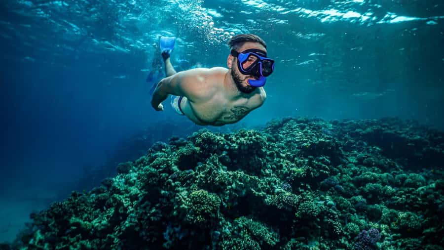 Jeddah: Guided Snorkeling Trip with Snacks and Drinks - Reaching the Red Sea from Jeddah