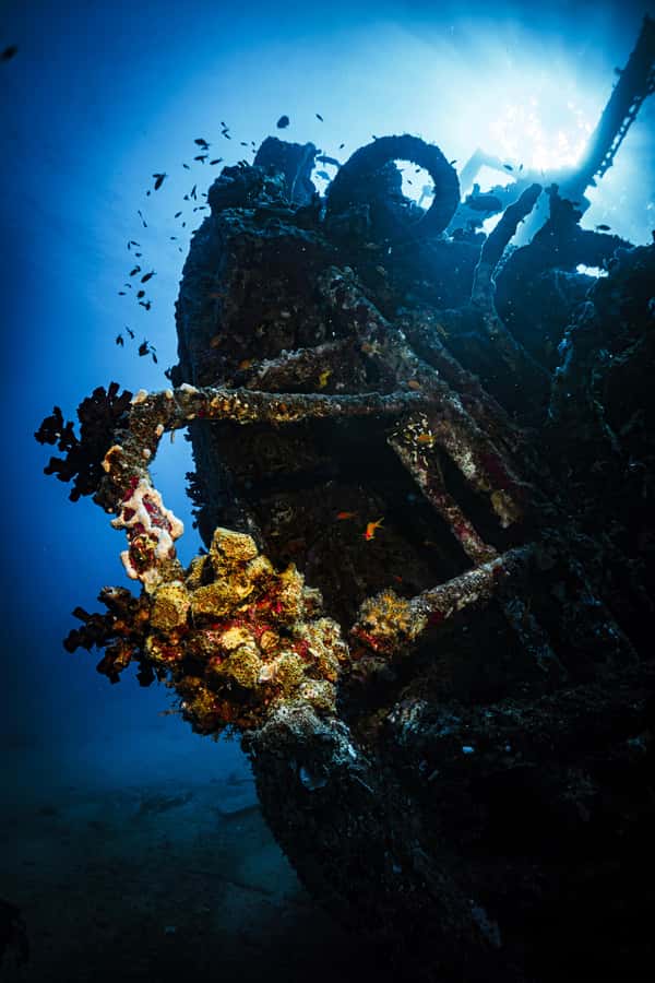 Jeddah: Guided Snorkeling Trip with Snacks and Drinks - Snacks, drinks, and the boat’s basic comforts