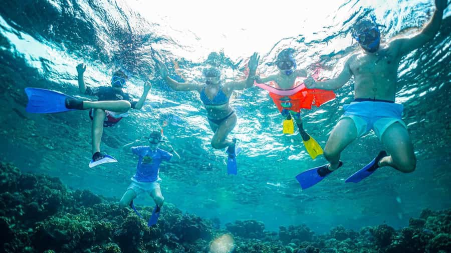 Jeddah: Guided Snorkeling Trip with Snacks and Drinks - What happens once the boat leaves