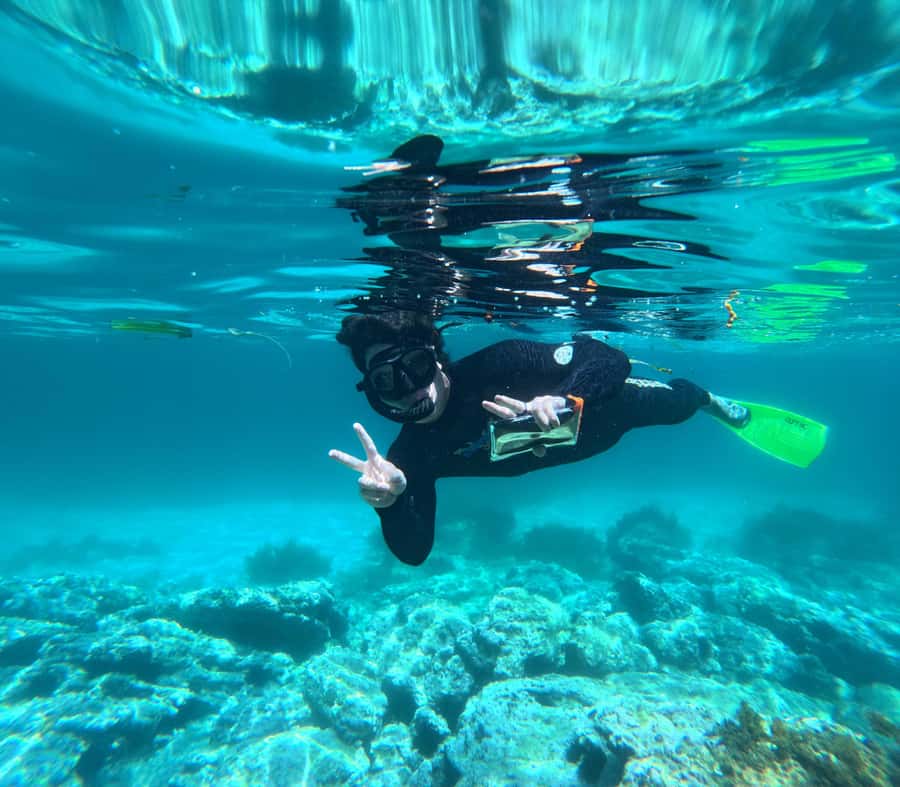 Jervis Bay: Guided Snorkelling Tour with expert guide - Photos and videos you can keep