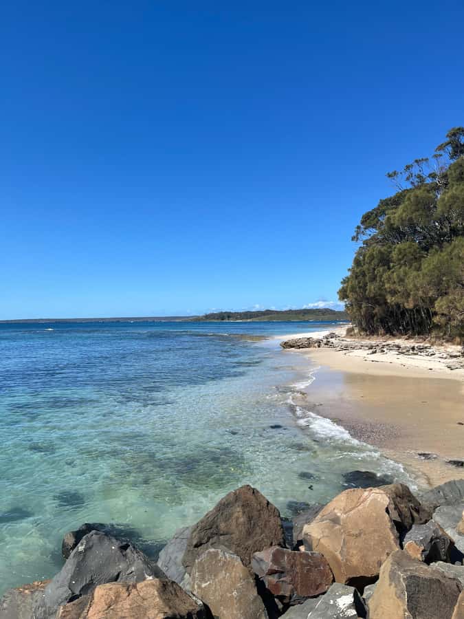 Jervis Bay: Guided Snorkelling Tour with expert guide - Is $81 good value for three hours?