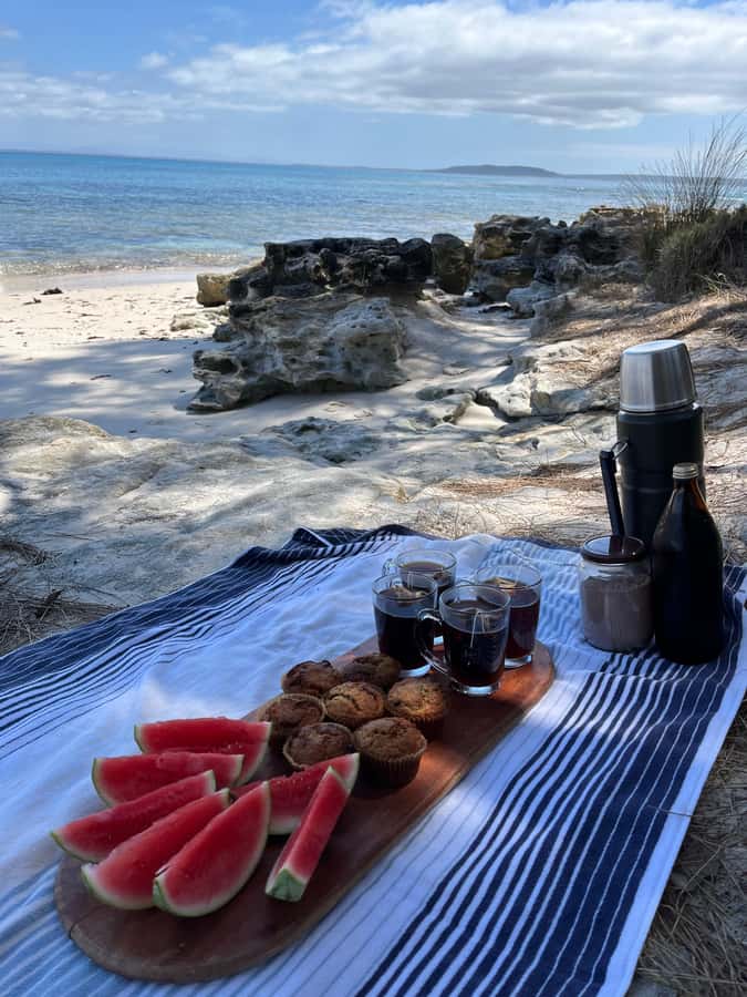 Jervis Bay: Guided Snorkelling Tour with expert guide - Practical preparation for the morning