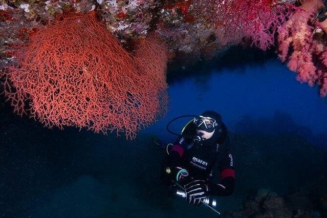 Journey of Diving or Snorkelling from a Boat - What the 22-meter boat means for your day