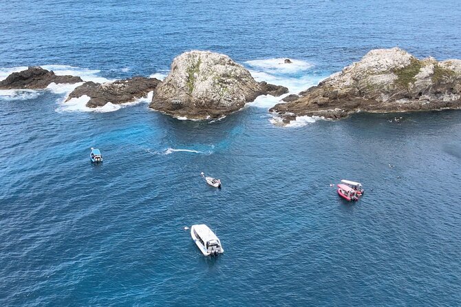Julian Rocks: Premier Snorkeling Tour Byron Bay - How much value does $92.52 offer?