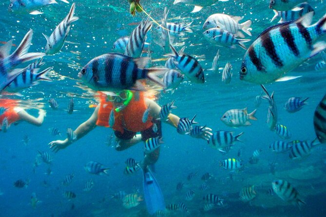 Jungle Tour Adventure in Cancun with Snorkeling - Driving into Nichupté Lagoon