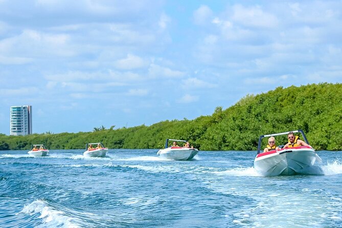 Jungle Tour Adventure in Cancun with Snorkeling - The real price, not just the $37 headline