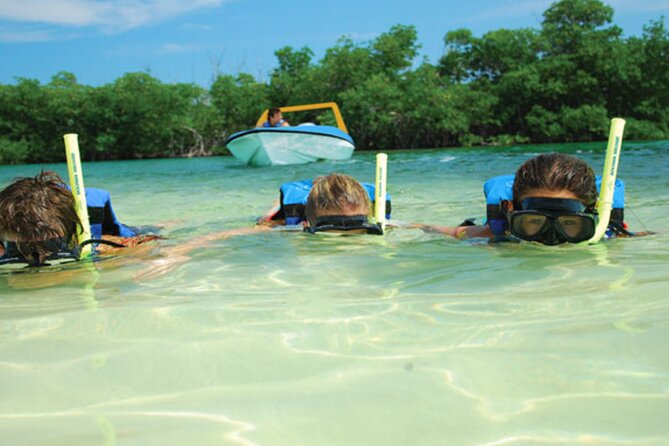 Jungle Tour Adventure in Cancun with Snorkeling - Group size, comfort, and who should book