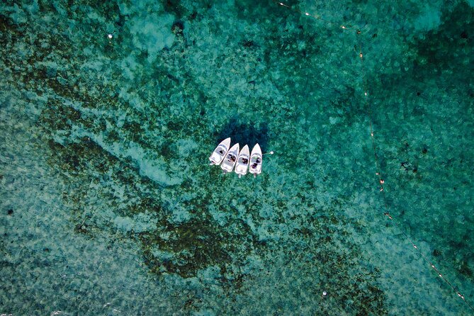 Jungle Tour & Snorkel at Punta Nizuc Reef , Underwater museum - Why the speedboat ride is the real highlight