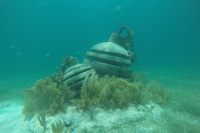 Jungle Tour & Snorkel at Punta Nizuc Reef , Underwater museum - What you see at Punta Nizuc Reef