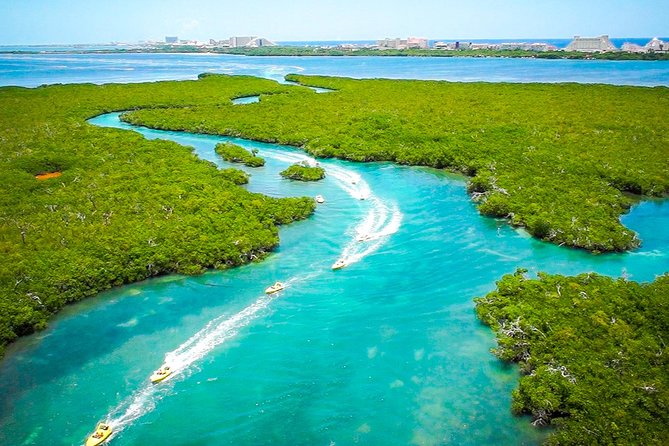 Jungle Tour with Snorkel in Cancun - The reef stop and underwater museum