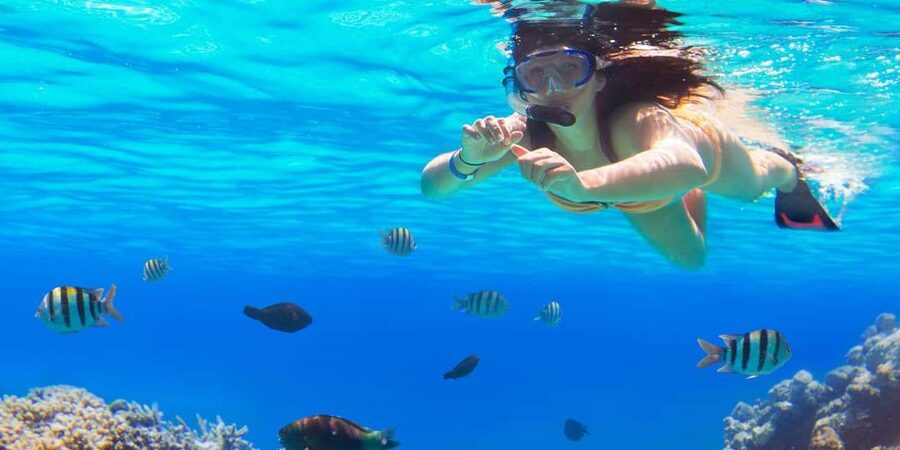 Ka'anapali Beach: Coral Reef Snorkel and Turtle Spotting - Why this short Maui snorkel works so well