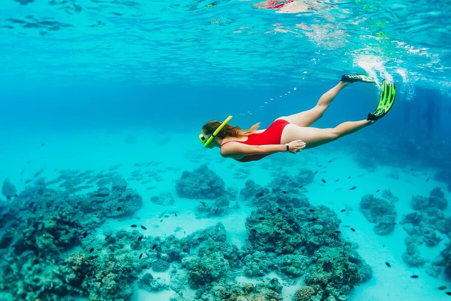 Ka'anapali Beach: Coral Reef Snorkel and Turtle Spotting - A good fit for children and first-time snorkelers